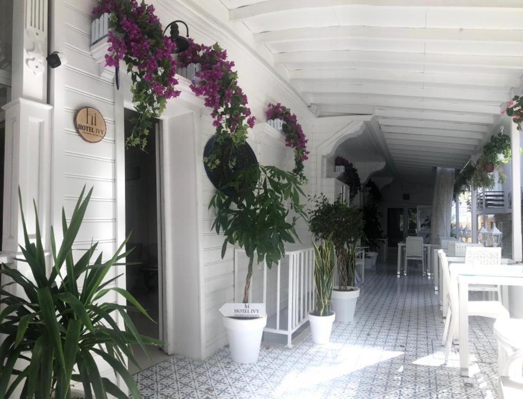 Hi Hotel Ivy Bueyuekada Adalar Bagian luar foto